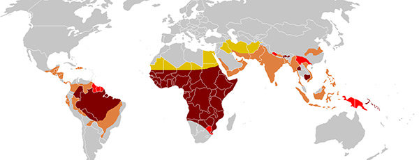 malaria-pa-jorden-bred